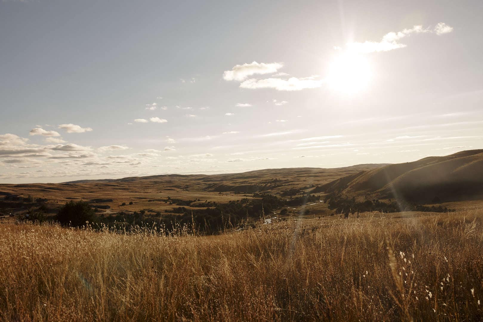 Open landscape of Nebraska Sandhills with tall grass and a bright sun in the sky.